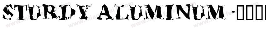 STURDY ALUMINUM字体转换